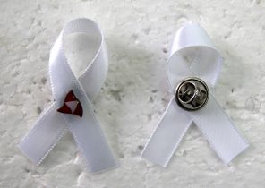 Provincie West Vlaanderen pin met wit lintje