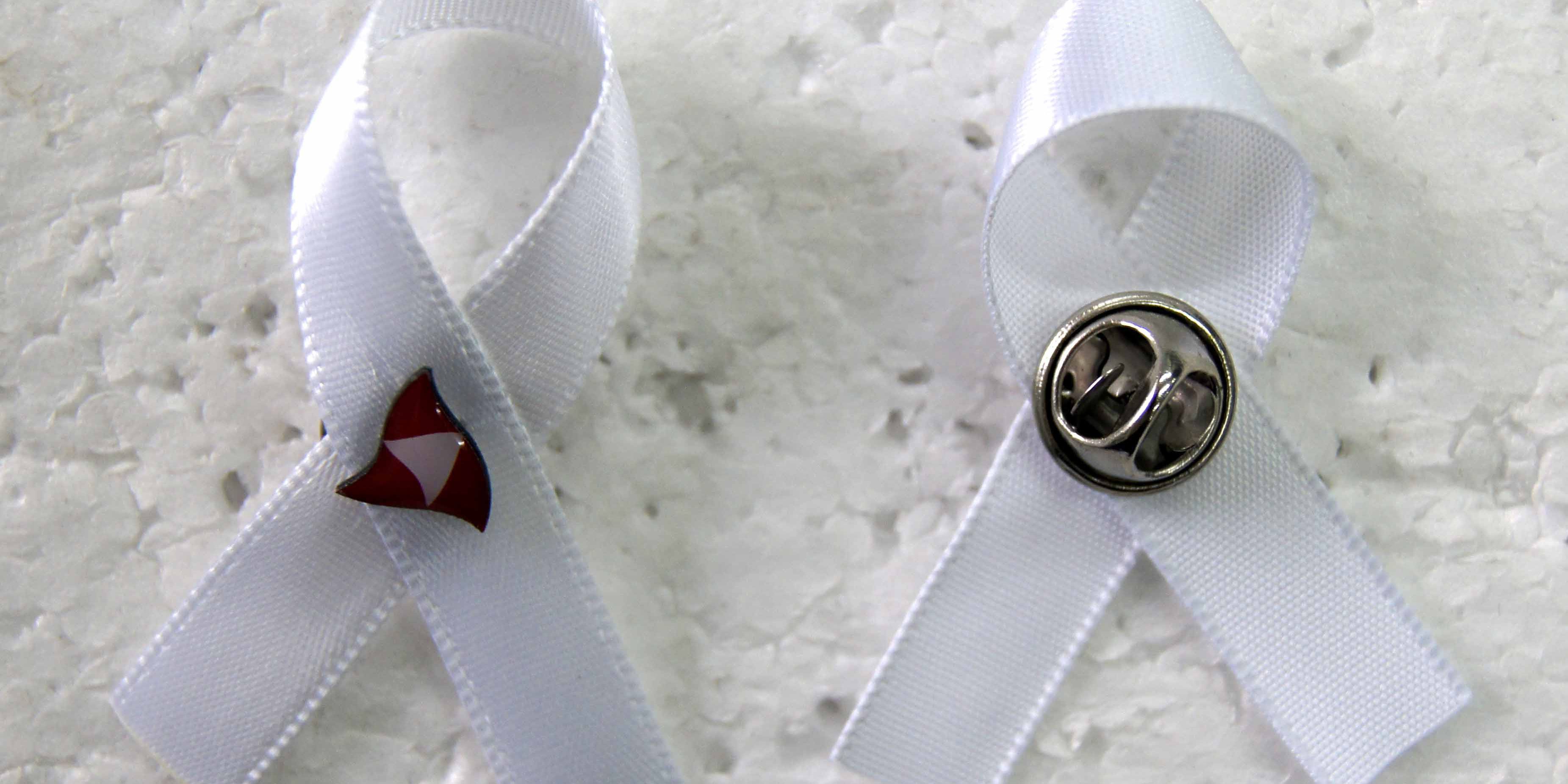 Provincie West Vlaanderen pin met wit lintje