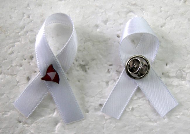 Provincie West Vlaanderen pin met wit lintje